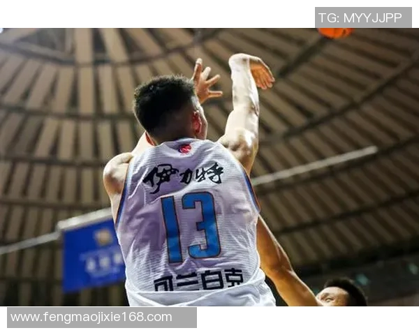 可兰白克的传奇人生与文化影响探讨之旅